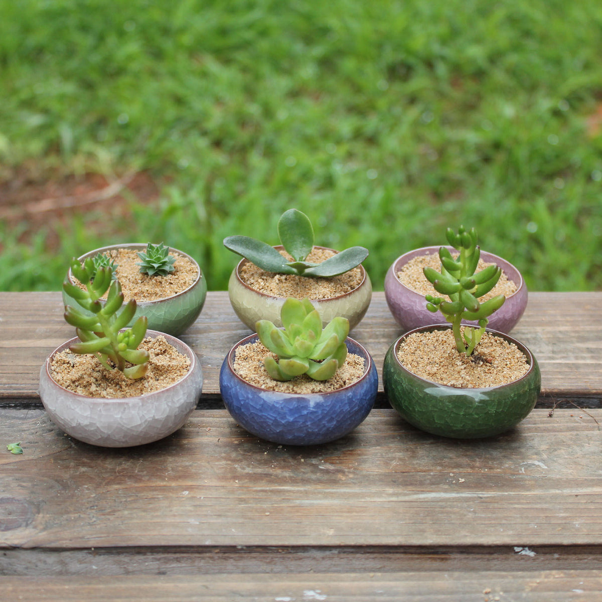 Colorful Ceramic Ice-Cracked Succulent Flower Pot