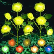 Color-Changing Solar Garden Roses - product image 6