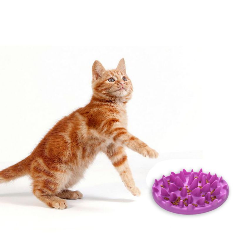 Silicone Non-Slip Pet Bowl - product image 2