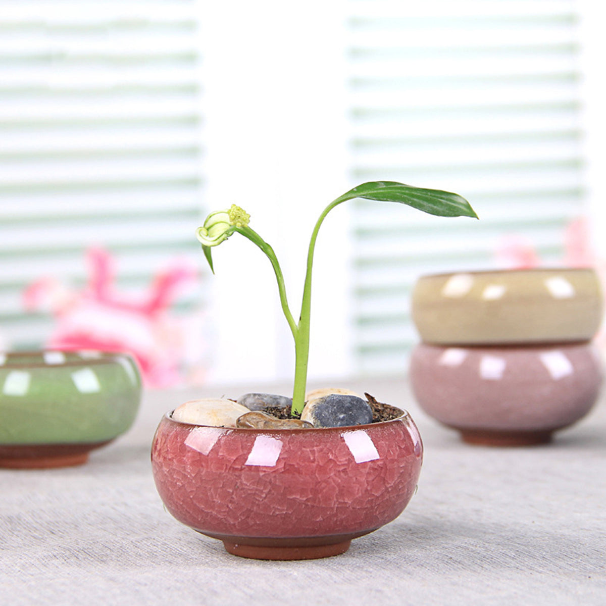 Colorful Ceramic Ice-Cracked Succulent Flower Pot