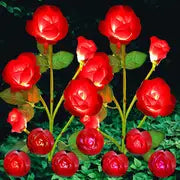 Color-Changing Solar Garden Roses - product image 4