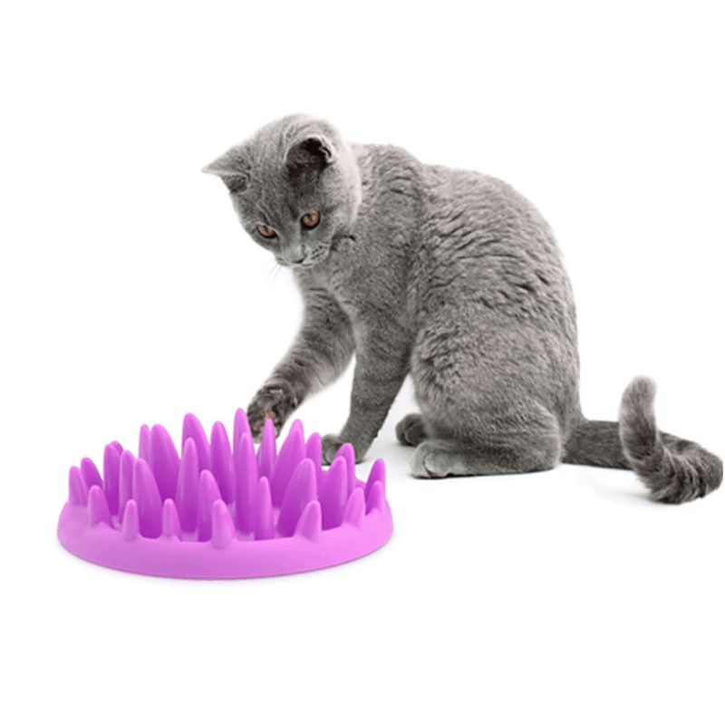 Silicone Non-Slip Pet Bowl - product image 11