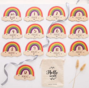 Rainbow Baby Milestone Cards (One Set)