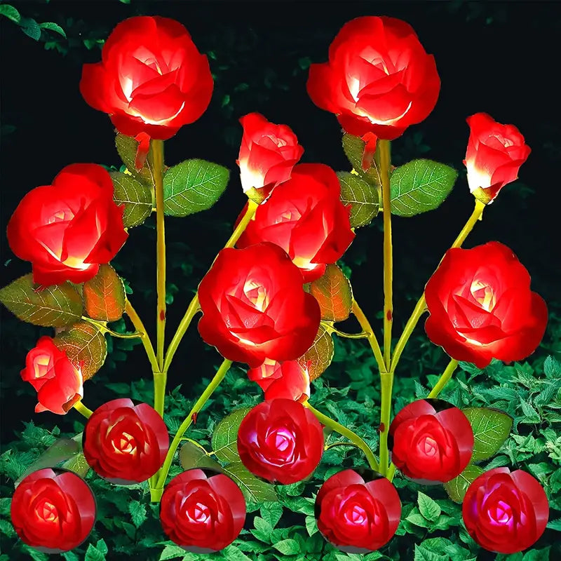 Color-Changing Solar Garden Roses - product image 3