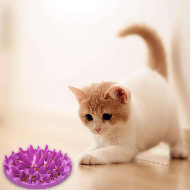 Silicone Non-Slip Pet Bowl - product image 5