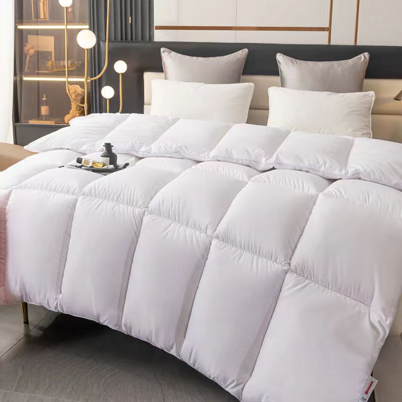 Luxury Thick Velvet Comforter for Spring & Autumn