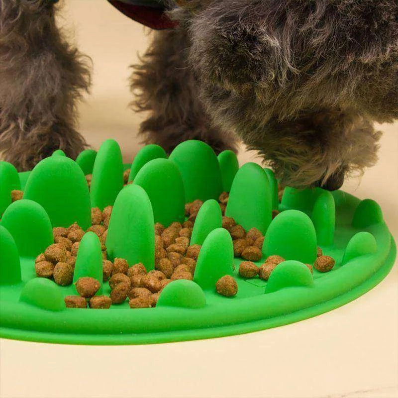 Silicone Non-Slip Pet Bowl - product image 9