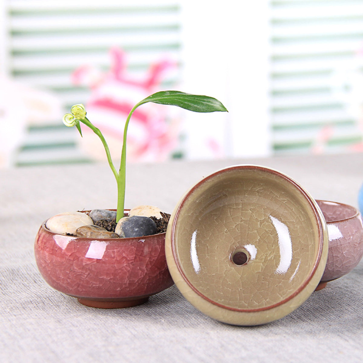 Colorful Ceramic Ice-Cracked Succulent Flower Pot
