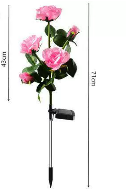 Color-Changing Solar Garden Roses - product image 7